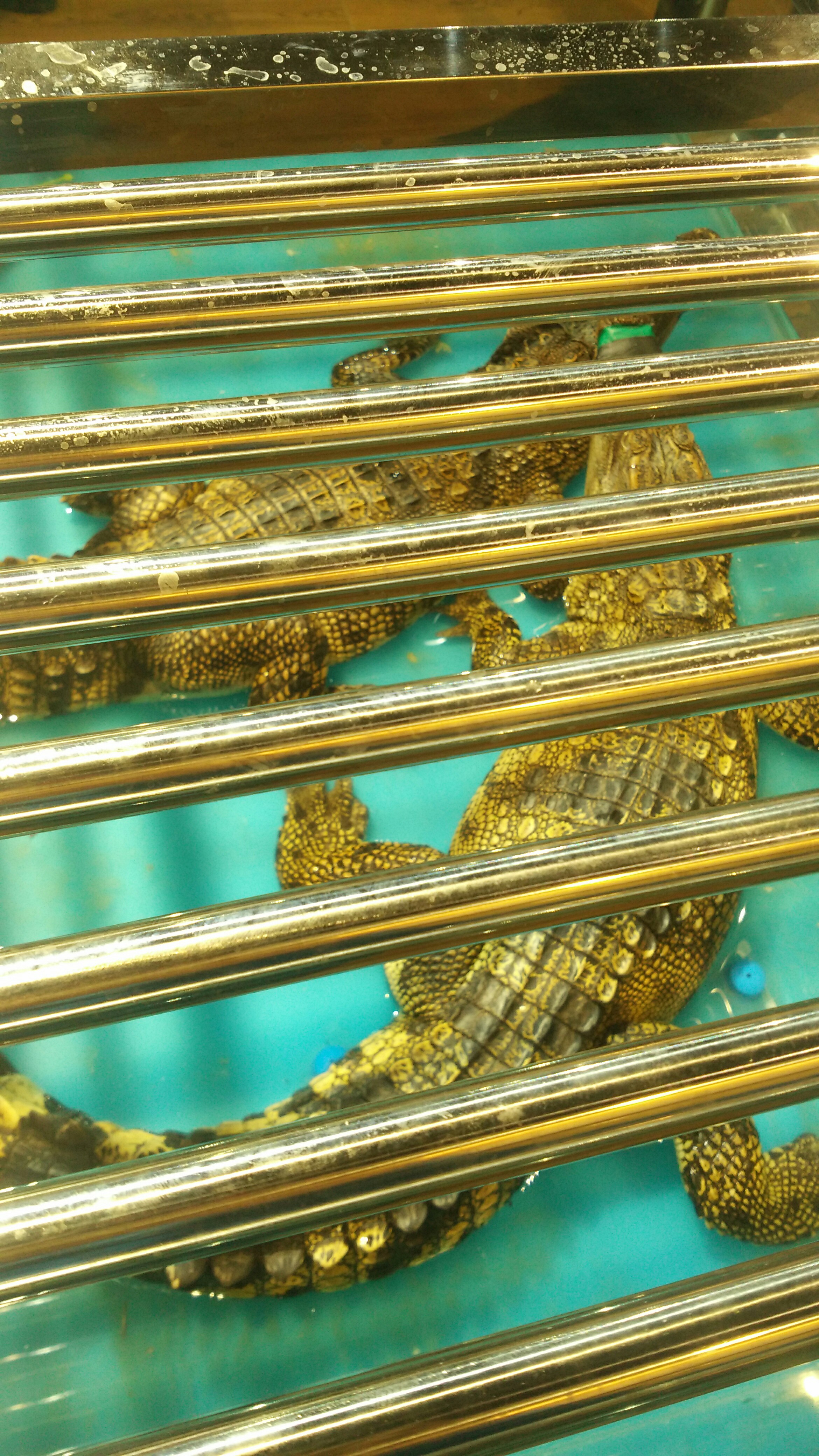 开云入口-藯褘?&amp;+睬槈{J?Be璨禡橌卍]U;>蕷A0萸熜,P鸺N)?Ie[z瘜rC?壥裸濻e嚈?摠y霑?09苍慦?媮y槀郩手硓"箢)mz┏?糖W~録敁蘤@龆0v卡霡4挐M悞?U並?{?>z萒琝POXJ﨑`E媥??7^Gf脣b? 